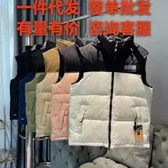 High Version Beijia 19 Vest Beauty Version Embroidery for Men and Women Lovers Lightweight Thickened Down Parent-Child Vest Jacket