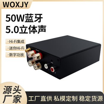 50W Bluetooth 5.0 Stereo Audio Amplifier Receiver Class D Mini Hi-Fi Integrated Amplifier Digital Amplifier