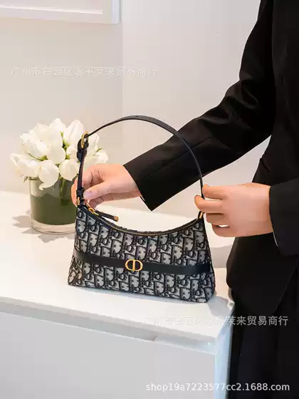 2024 New Style Dumpling Bag CD presbyette Printed Shoulder Underarm Women's Handbag high quality Embroidered presbyted