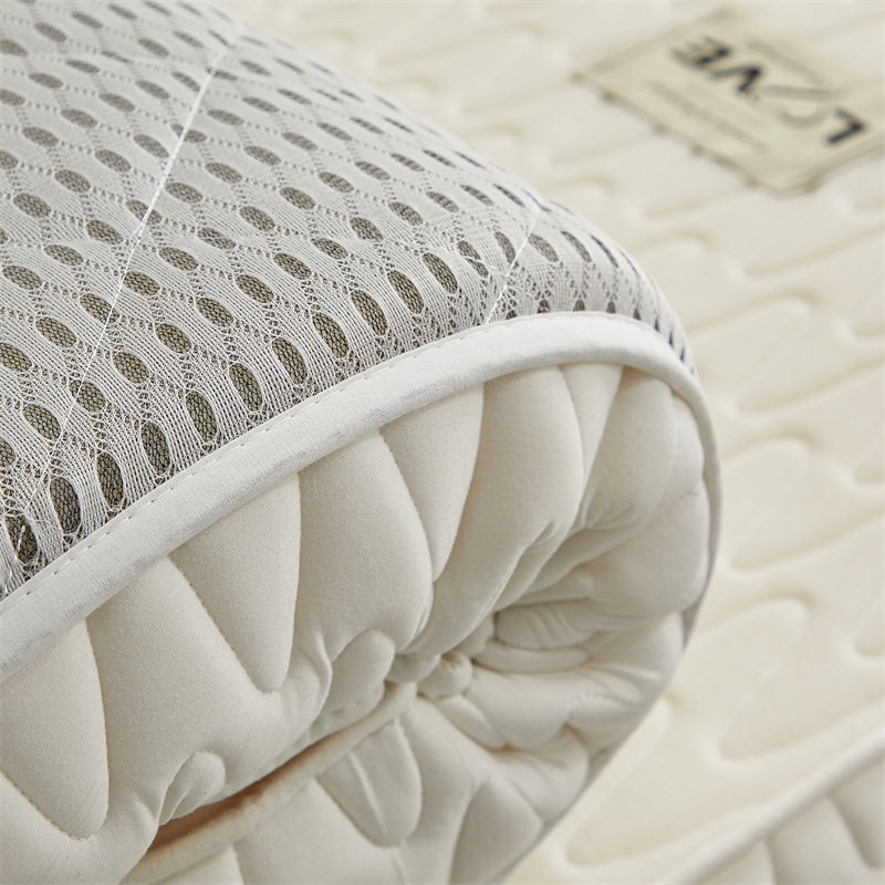 Milk velvet silk latex mattress cushion home student dormitory factory rental single tatami sponge mat wholesale