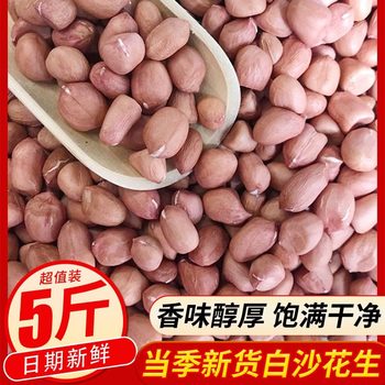 5kg fresh farmers grow small white sand peanut kernel special wholesalers use raw peanuts without shells
