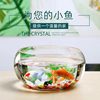 Factory Direct Sales Thickeneded Glass Fish Tank Turtle Tank Large Landscaping Micro Landscape Ornaments Aquatic Plant Tank Thickeneded Fish Tank