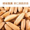 Brazilian Pine Nuts 2025 New Crop Extra Large Grade Hand-Peeled Pine Nuts Dried Nuts Wholesale Nongxiangsen Official Flagship Store