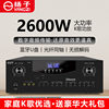 New Professional High Power Fixed Resistance Speaker Karaoke Amplifier Home Bluetooth 2.1 Amplifier hifi Audio