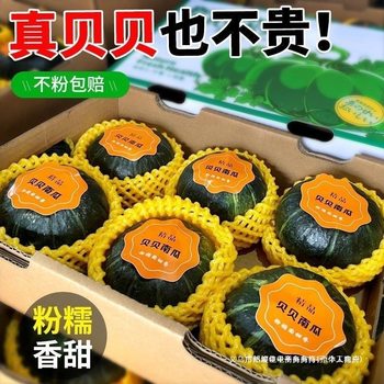 Fresh Vegetables for Baby Food, Pumpkin for Pregnant Women, Pumpkin and Chestnut Flavor, Wholesale All Year Round, Grown in Fertile Soil, Others