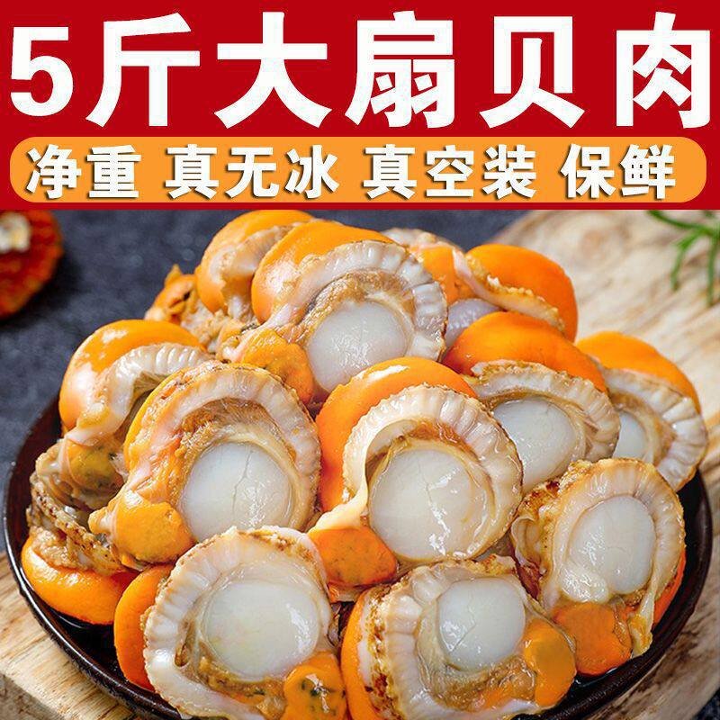 Extra Large Scallop Yellow Factory Scallops Free Shipping Fresh Quick-Frozen Scallop Meat Direct Sales Scallop Meat Freshly Peeled