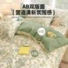 Small fresh cotton bed four-piece set 100 cotton 2025 new quilt cover bed sheet quilt cover four seasons universal bedding 4