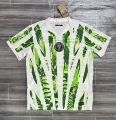 2026 nigeria home jersey