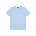 Large standard blue
