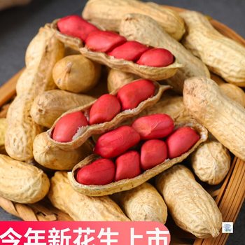 Guangdong Red-Skinned Peanuts with Shells, Sun-Dried Raw Farm Seeds, Fresh Four Red-Skinned Peanuts 2025 New Arrival
