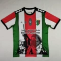 Palestinian red green