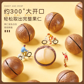 Hawaiian Macadamia Nuts Original Flavor Large Loose Bag 5kg Wholesale Specialty Roasted Seeds and Nuts Snack Manufacturer