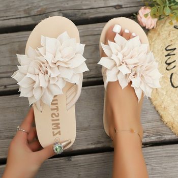 Large Size Cross-Border Sandals for Women Summer Flat Soft Bottom Flip-Flops Versatile Fairy 2025 New Beach Shoes Cloth