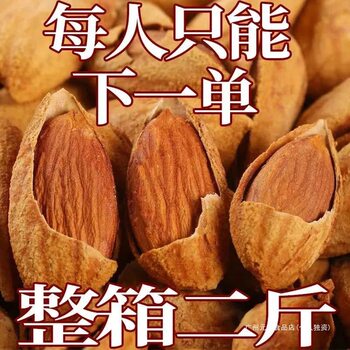 Almond New Canned Nut Snacks Wholesale a Whole Box of Cream Salt Baked Flavor Bulk Bagged Thin Shell Almonds
