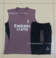 2526 Vest Real M Grey Purple