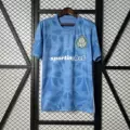 2526 Palmeiras Goalkeeper Blue