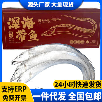 [Gift Box] Whole Large East China Sea Oil Dried Fish Fresh Oil Knife Fish Sea Fish for Commercial Use