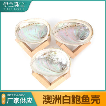 Natural Colorful Abalone Shell Shell Decorative Ornaments Sage Incense Container Burning Plate Australian White Abalone Shell