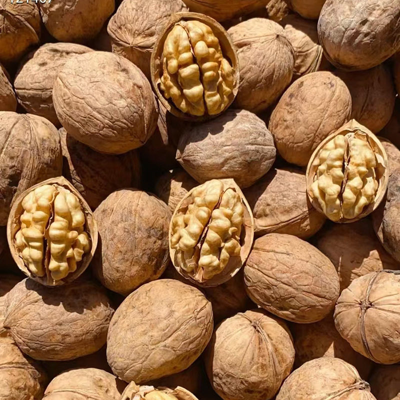 Xinjiang 185 Paper-Skinned Walnuts, Bulk Wholesale, Easy-To-Crack Walnuts, Aksu Thin-Skinned Raw Walnuts, Hand-Peeled