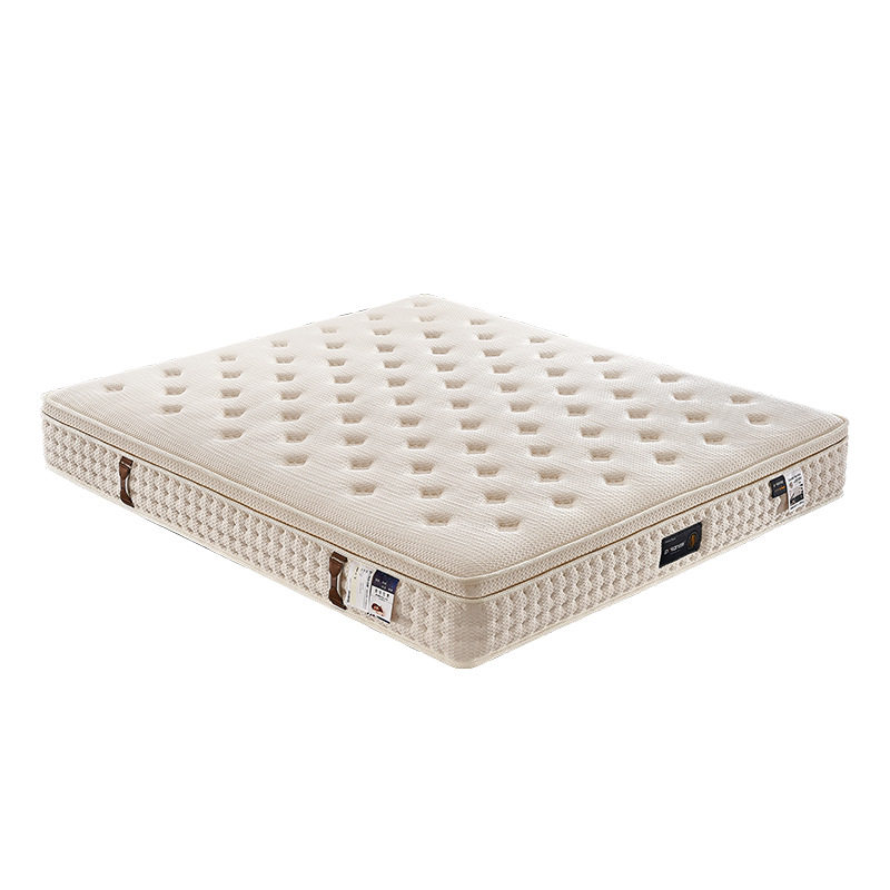 The Treasure of the Store, Five-Star Hotel Mattress, Independent Pocket Spring, B&B Simmons Memory Foam Latex Cushion