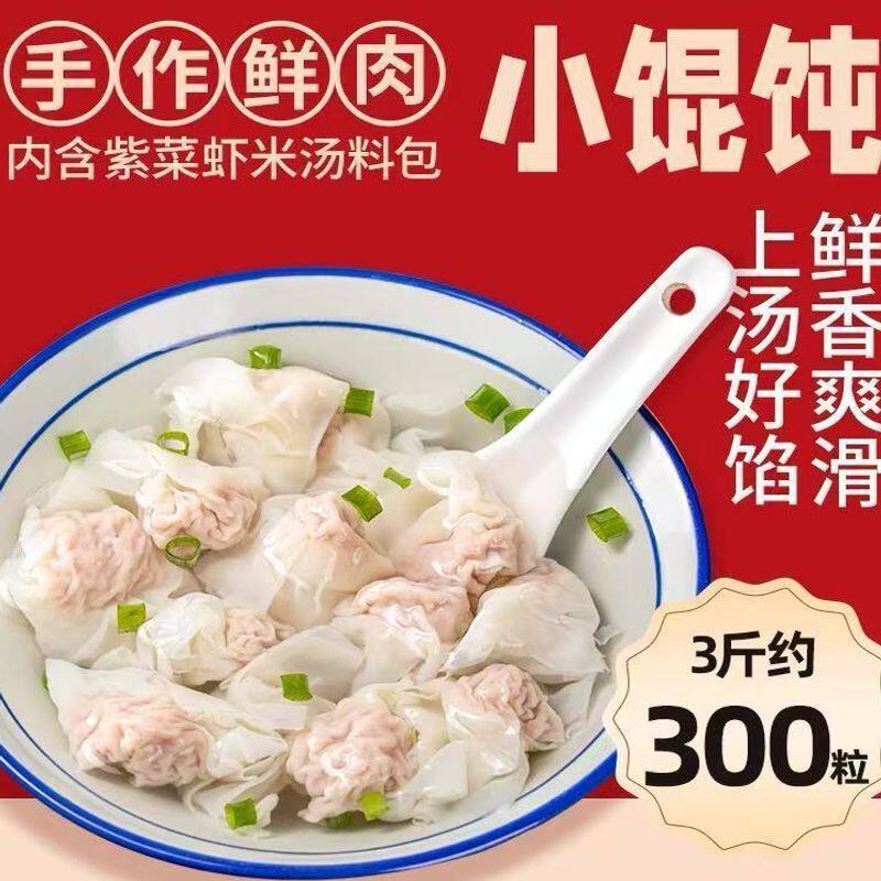 Shaxian Small Wontons Breakfast Instant Snacks Dumplings Handmade Wontons Flat Meat Wontons Fresh and Convenient Pure Delivery Service