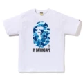 1394 white blue