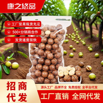 Aaa Macadamia Nut Cream Flavor Bag 200g Canned 125 Nuts Dried Fruit Contains Canned Snacks Wholesale Packaging