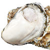 Seafood Shells, Oysters, Fresh Aquatic Products, Fresh Oysters, 10 Boxes, 5 Oysters, Ready-To-Eat, Special Large Size