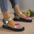 Multicolor 001
