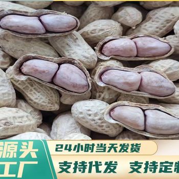 Authentic Longyan Peanuts, Boiled, Sun-Dried, Roasted with Garlic Flavor, Shelled, New Peanuts, Crispy and Fragrant, Direct from the Factory