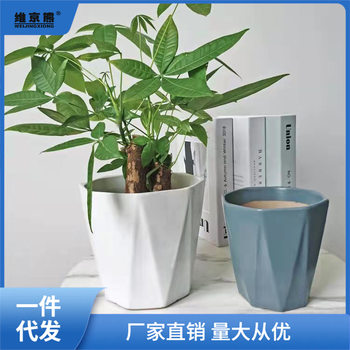 Large Ceramic Flower Pot with Tray for Succulents, European-Style Simple White Green Radish Ginger Tea