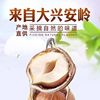 Factory in stock straight hair new year goods open big hazelnut 100 g/bag northeast specialty original hazelnut new year nuts