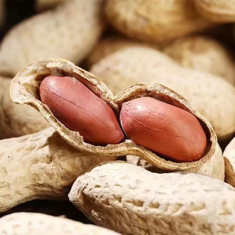 [Fried Hair] New Farmhouse Original Fried Peanuts Iron Pan Shelled Cooked Peanuts Casual Snacks Firewood Original Peanuts