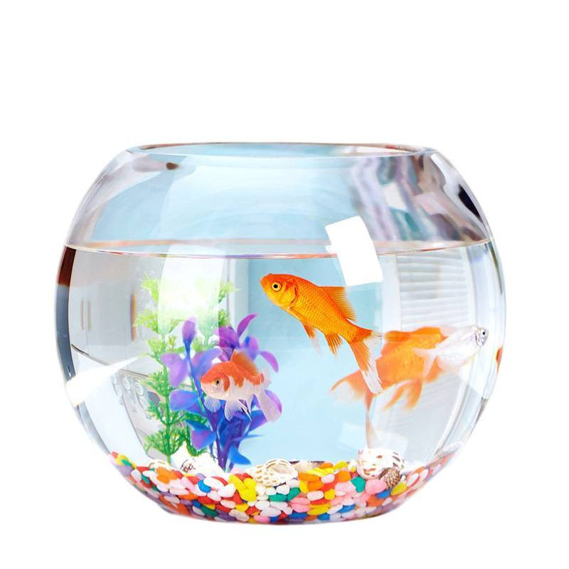Office Desk Glass Fish Tank Goldfish Tank Aquarium Living Room Small Desktop Turtle Tank Transparent Round Home Shihua
