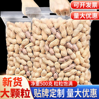 Peanut Salted Dried Shelled Snacks Nuts Whole Bag Free Shipping Roasted Seeds and Nuts Casual New Year Goods Wholesale One Piece Drop Shipping Crispy Flavor