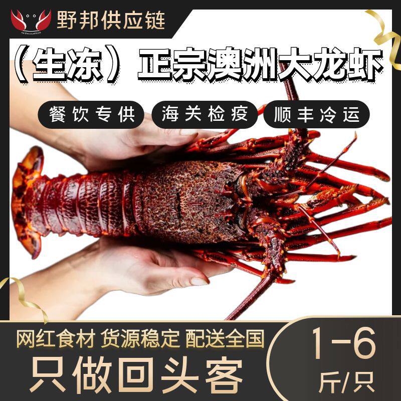 Australian Giant Lobster, Australian Lobster, Red Lobster, Rock Lobster, Crayfish Seafood 0.5-3.5kg / Gift Box, Imported from Australia