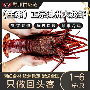 Australian Giant Lobster, Australian Lobster, Red Lobster, Rock Lobster, Crayfish Seafood 0.5-3.5kg / Gift Box, Imported from Australia