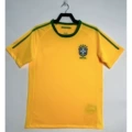 2010 brazil home game