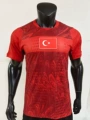 26 turkey home player edition