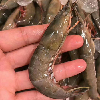 Zhoushan Aquatic Seafood, Sea-Caught Sword Shrimp Strips, Shrimp, Deep-Sea Green-Shell Large Shrimp, Fresh Frozen Shrimp Restaurant