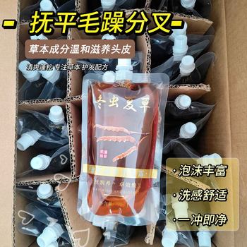 Moisturizing Cordyceps Shampoo Cordyceps Oil Control Repair Shampoo for Hair Care and Hair Care Lasting Fragrance 300ml