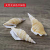 Natural Shell Conch Starfish Material Package Hand-Shot Background Wind Chime Drift Bottle Fish Tank Decoration Set