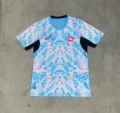 26swiss guest