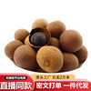 Dried longan dried longan big fruit in stock dried longan 500g Putian shelled dried longan a generation of dried fruit