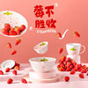 New Strawberry Creative Stylish Household Ceramic Ins Style Tableware Set Cute Rice Bowl Dish Plate Flavor Plate Dropshipping