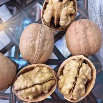Xinjiang thin skin 33 walnut Aksu specialty raw walnut nut raw materials from 500g a large number of in stock pieces per delivery