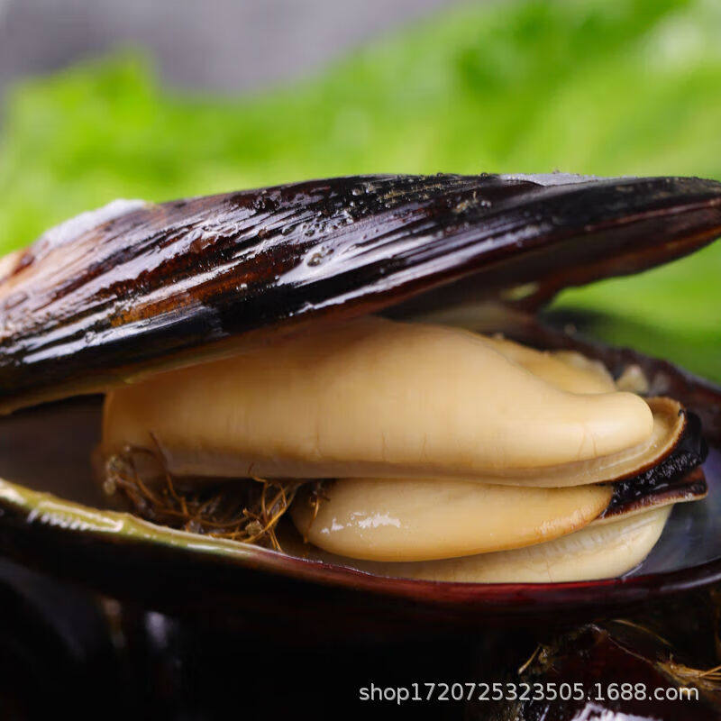 Half-Shelled Mussels, Quick-Frozen Blue Mussels, Green-Lipped Mussels, Sea Rainbow Frozen Shellfish, Fresh Half-Shelled Mussels