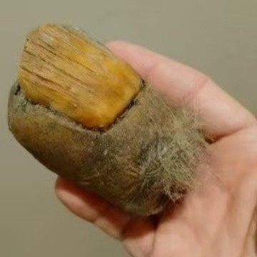 Cross-Border Amazon Bigfoot Toe Sasquatch Devil's Toe Resin Crafts Ornaments