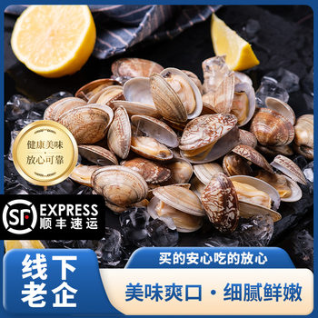 Frozen Fresh Clams with No Sand, Large Clams Without Sand, Self-Service Commercial Tin Foil Clams with Vermicelli