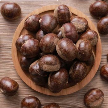2025 Fresh Xianqiao Qianxi Chestnuts from Hebei 3113 Wild Yan Mountain Large Oil Chestnuts